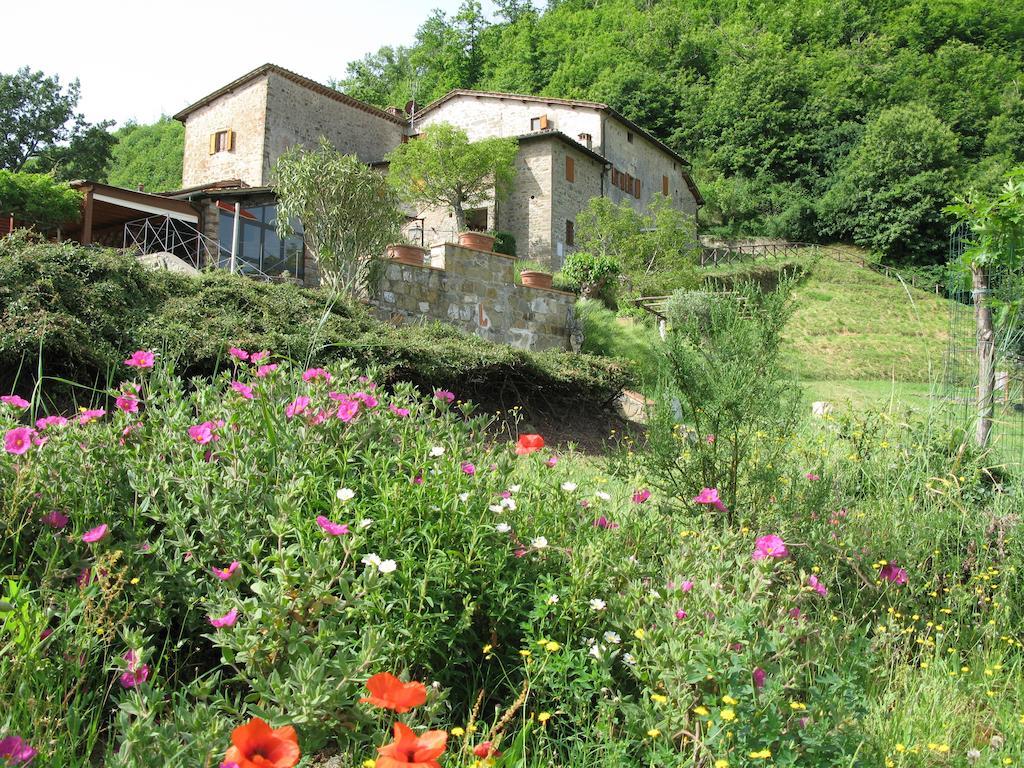 La Ghiandaia Casa Vacanza Lucolena in Chianti Exteriér fotografie